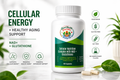 Cellular Nutrition Complex with NAD + Glutathione